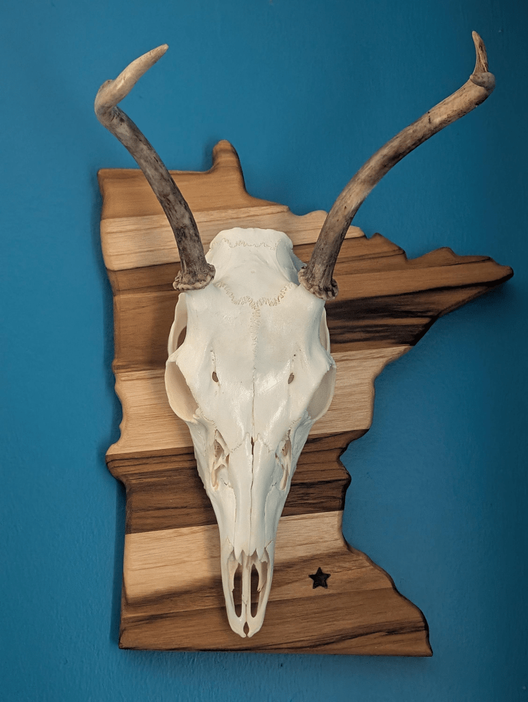 Deer skull mount on a custom-crafted teak wood plaque.